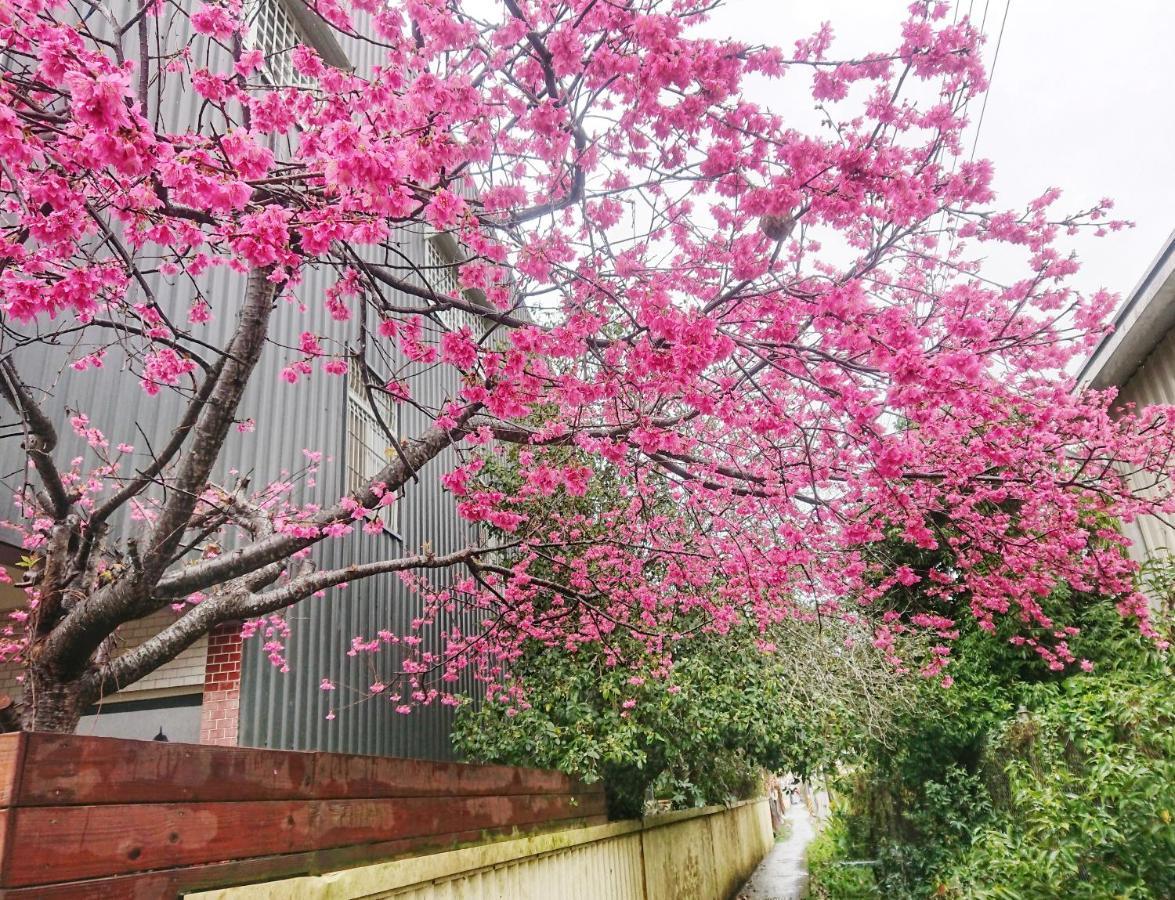 Xinshe Xiao Shu Time Homestay Extérieur photo