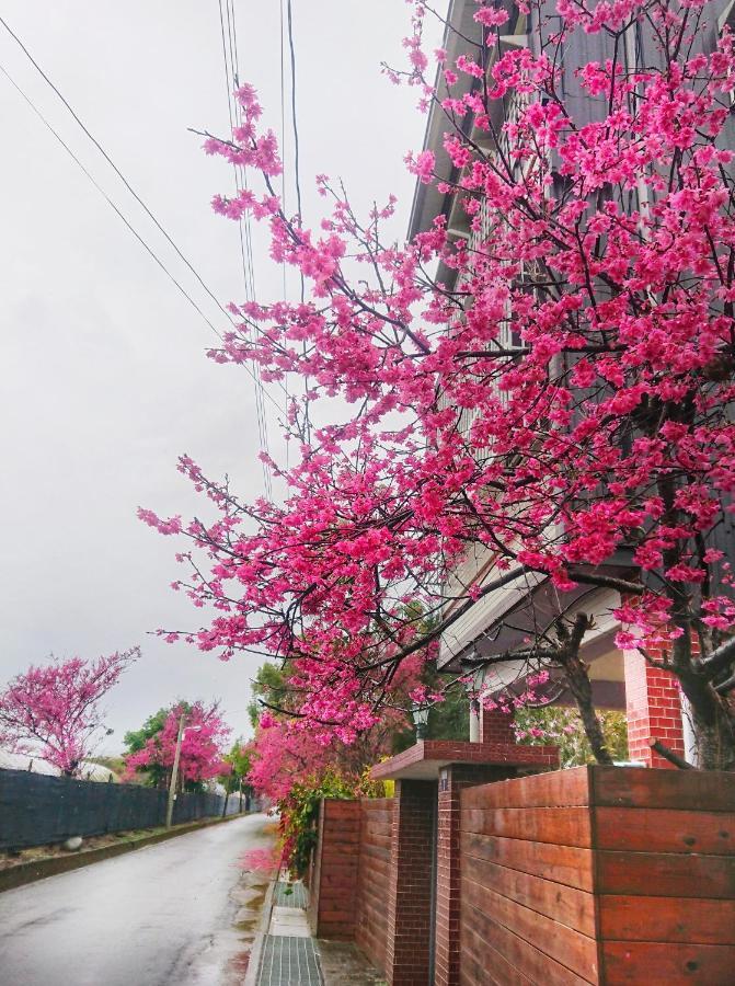 Xinshe Xiao Shu Time Homestay Extérieur photo